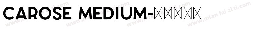 CAROSE Medium字体转换